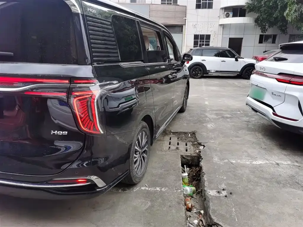 Hongqi HQ9 2024 из CN, фото 4