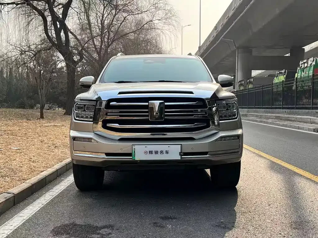 Tank 500 New Energy 2024 из CN, фото 9