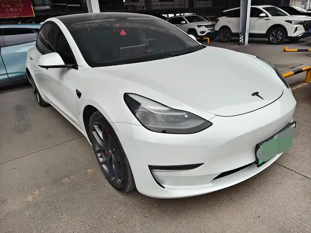 Tesla Model 3 2021 из CN, фото 1