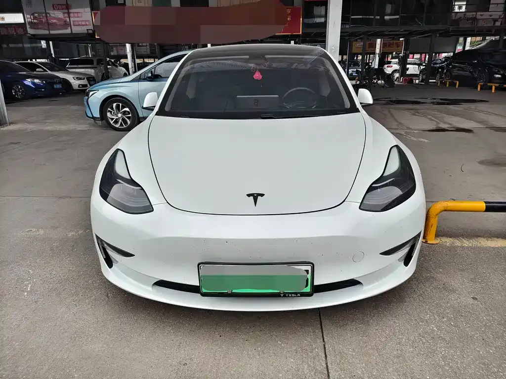 Tesla Model 3 2021 из CN, фото 6