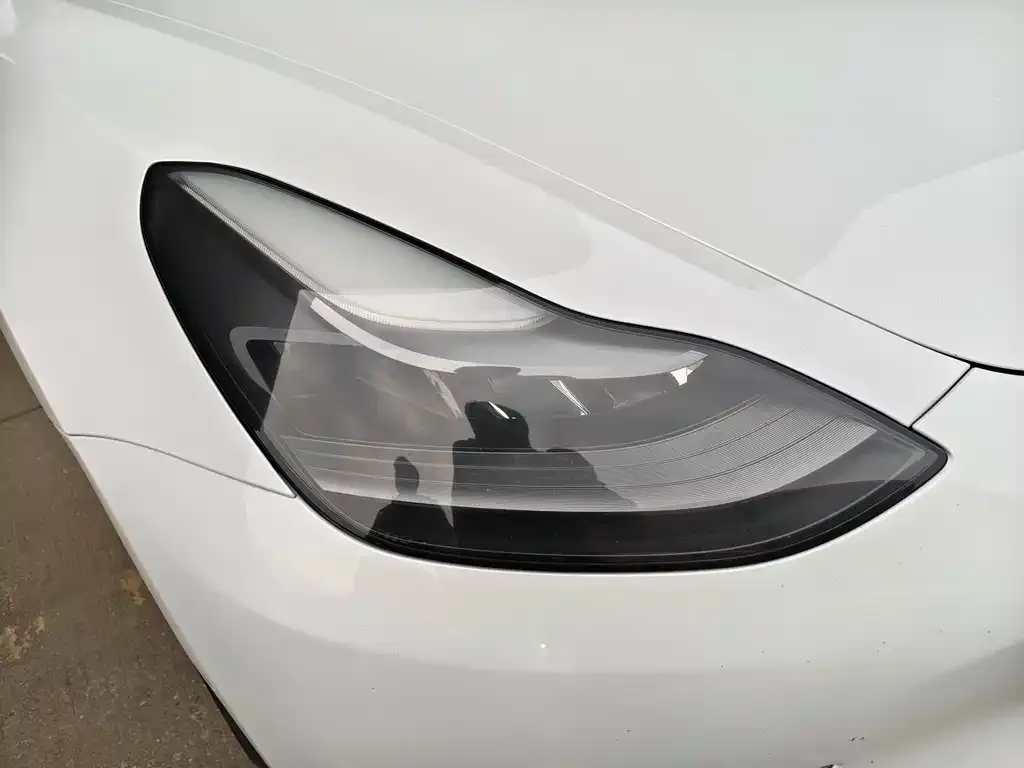 Tesla Model 3 2021 из CN, фото 3
