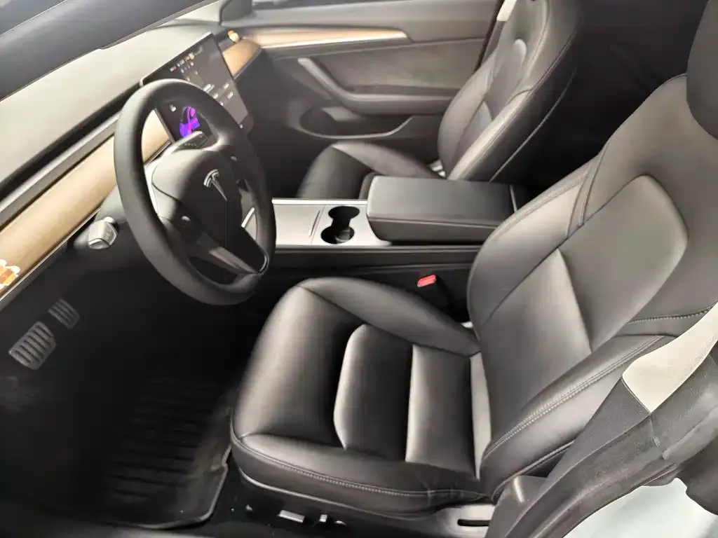 Tesla Model 3 2021 из CN, фото 10