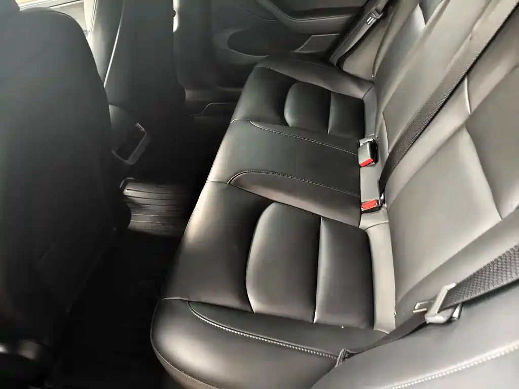 Tesla Model 3 2021 из CN, фото 9