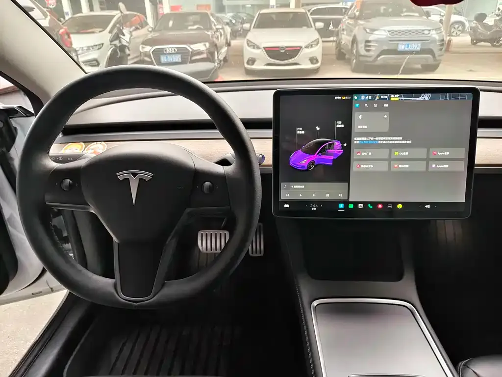 Tesla Model 3 2021 из CN, фото 5