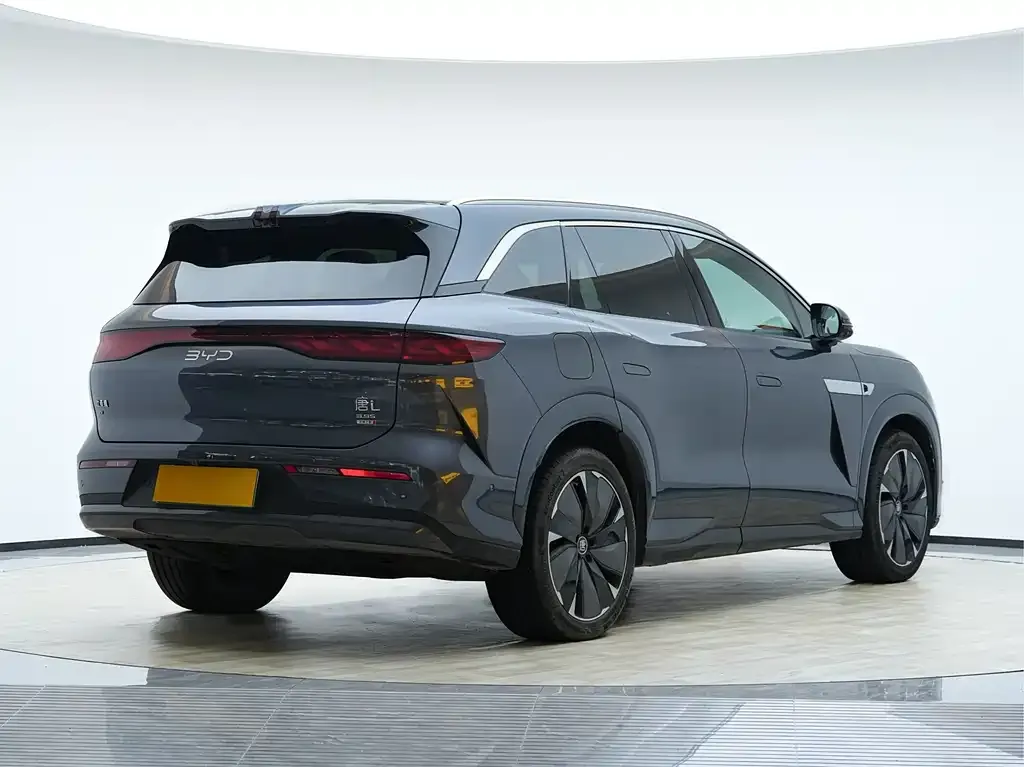 BYD Tang L 2025 из CN, фото 8