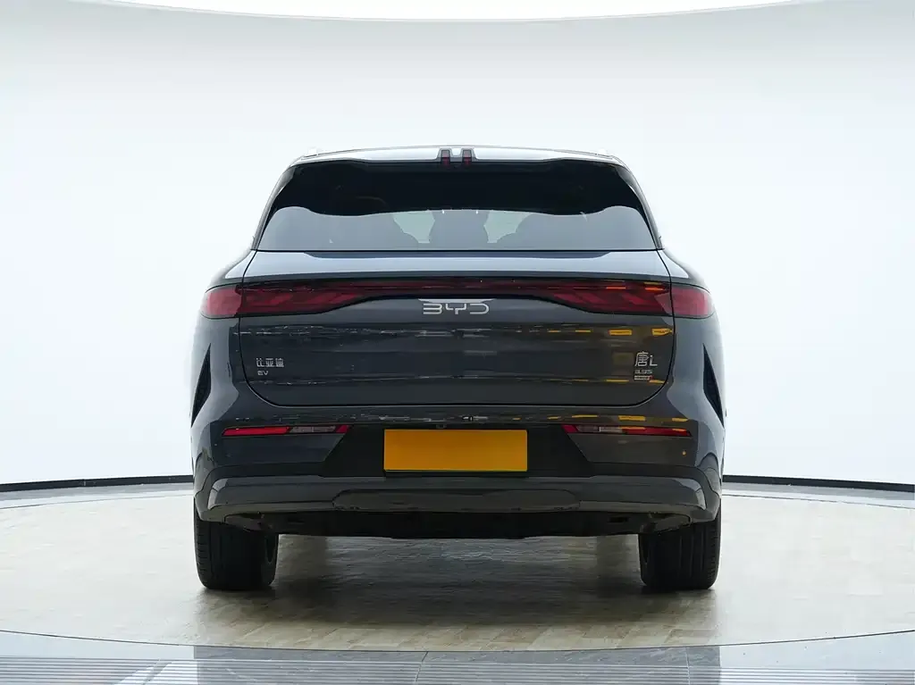 BYD Tang L 2025 из CN, фото 6