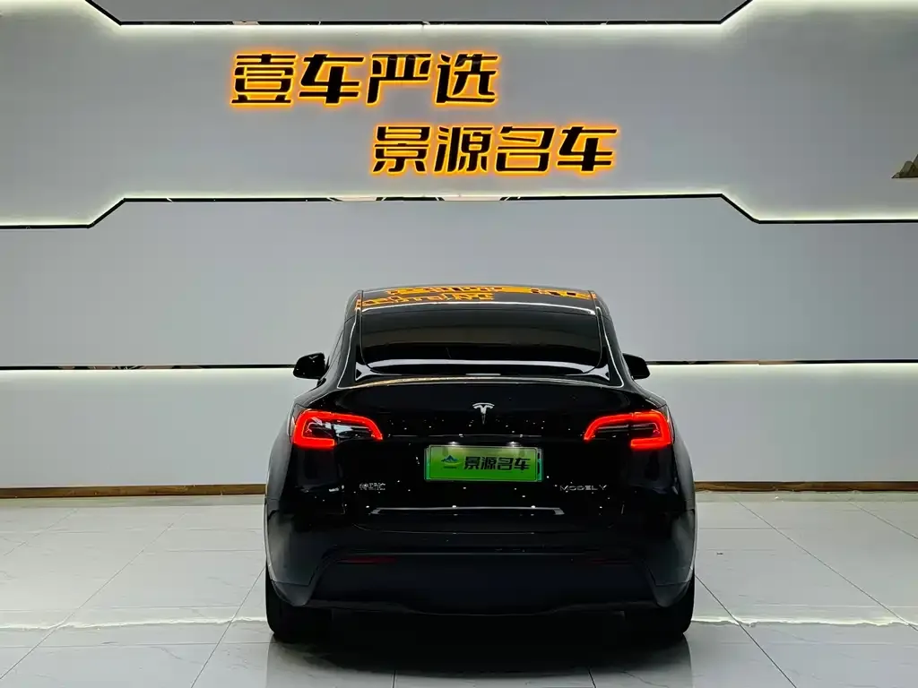 Tesla Model Y — фото 10