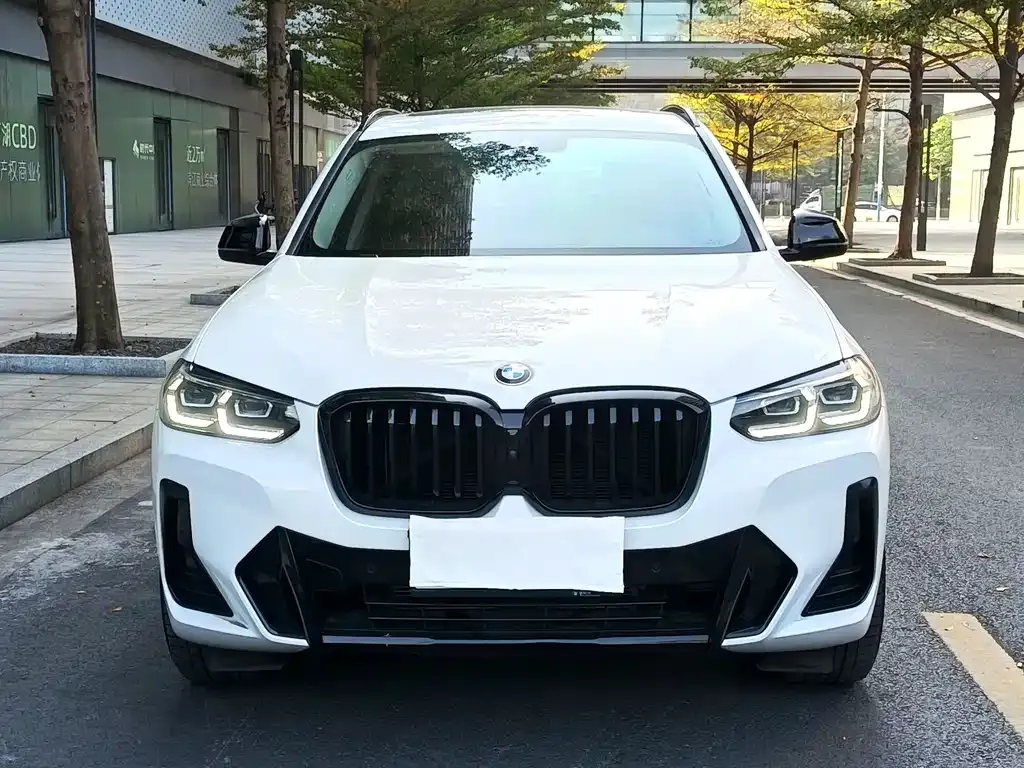 BMW X3 2023 из CN, фото 8