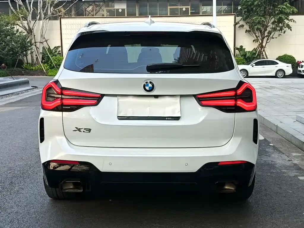 BMW X3 2023 из CN, фото 6