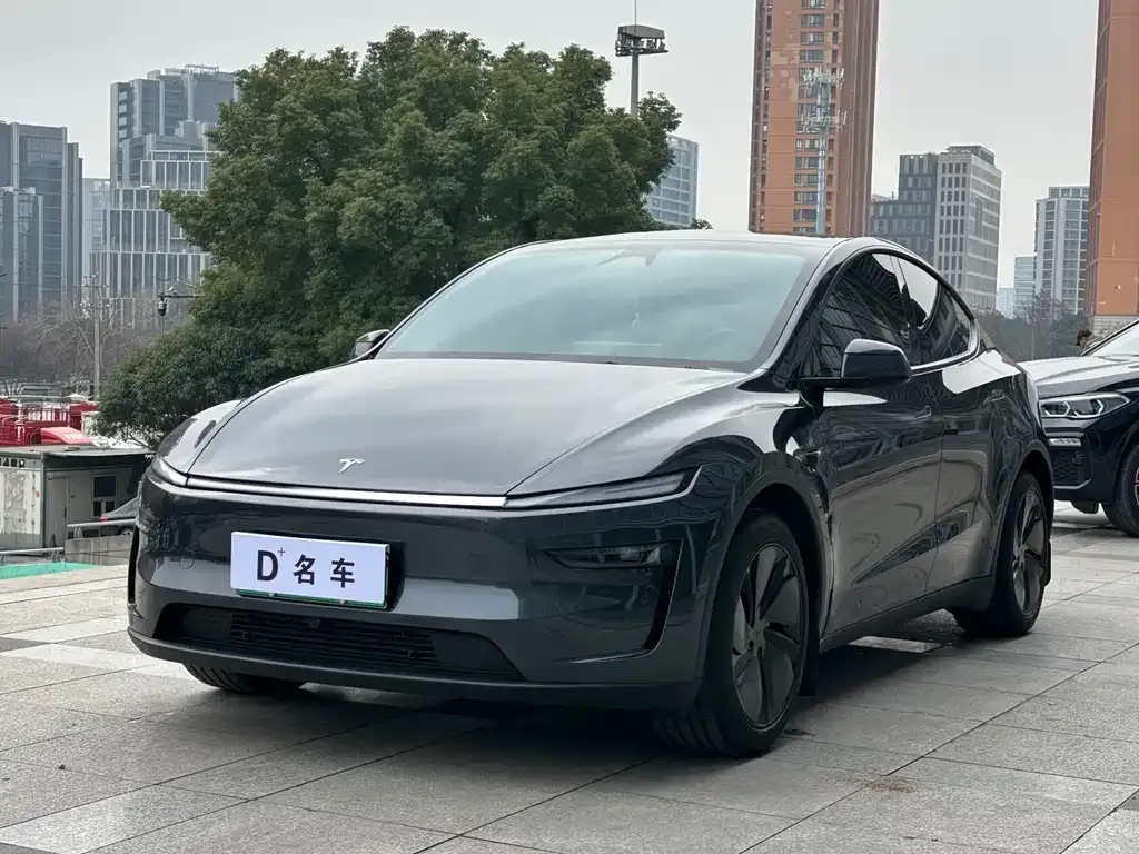 Tesla Model Y — фото 1