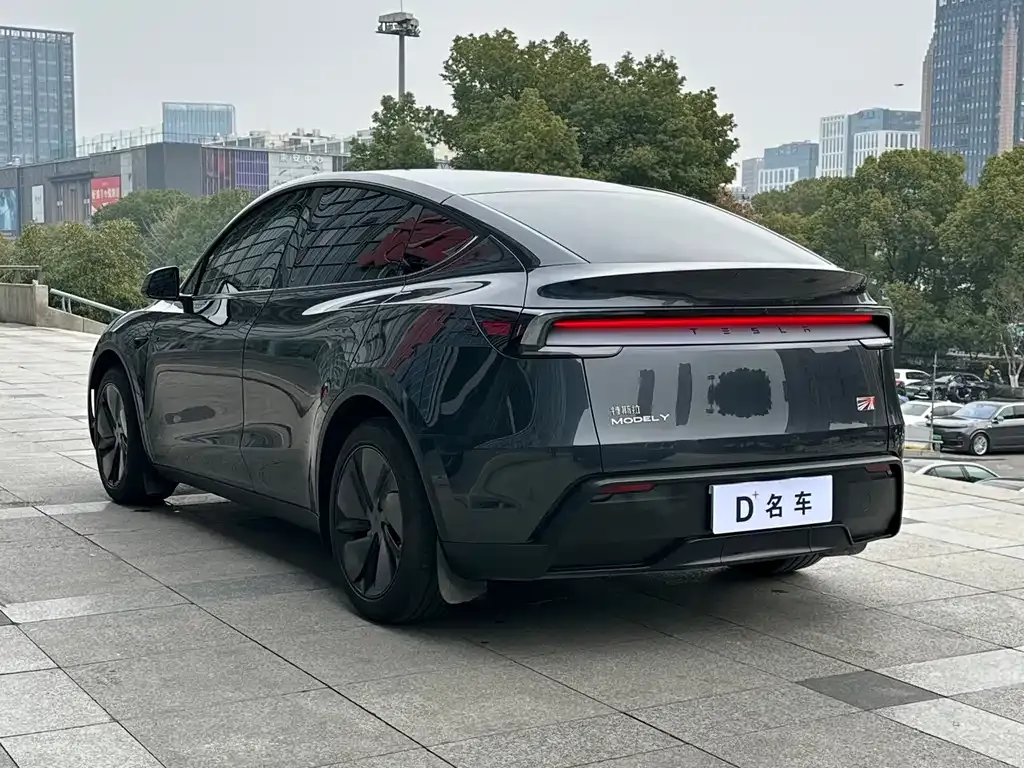 Tesla Model Y — фото 3