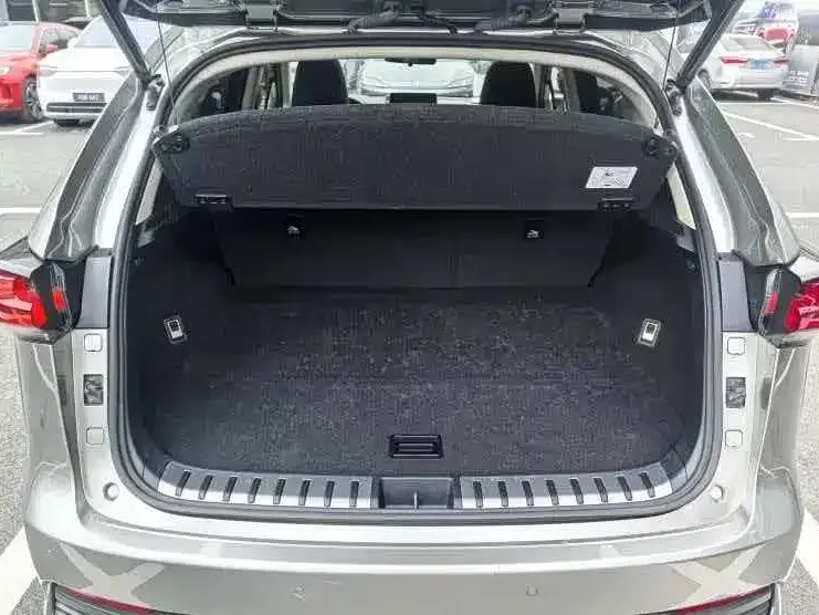Lexus NX 2021 из CN, фото 4