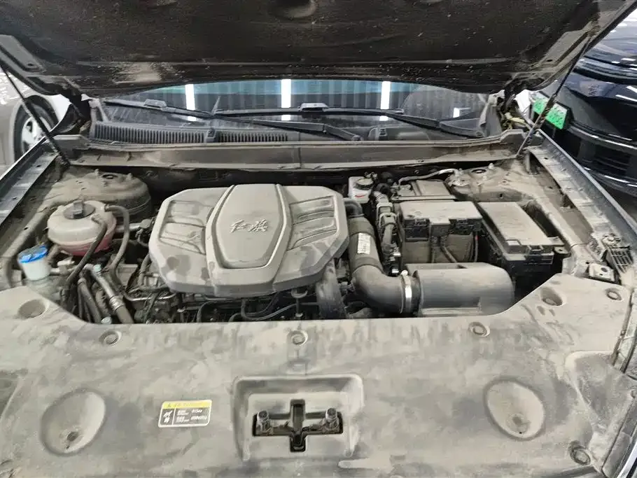 Hongqi HS5 2023 из CN, фото 8