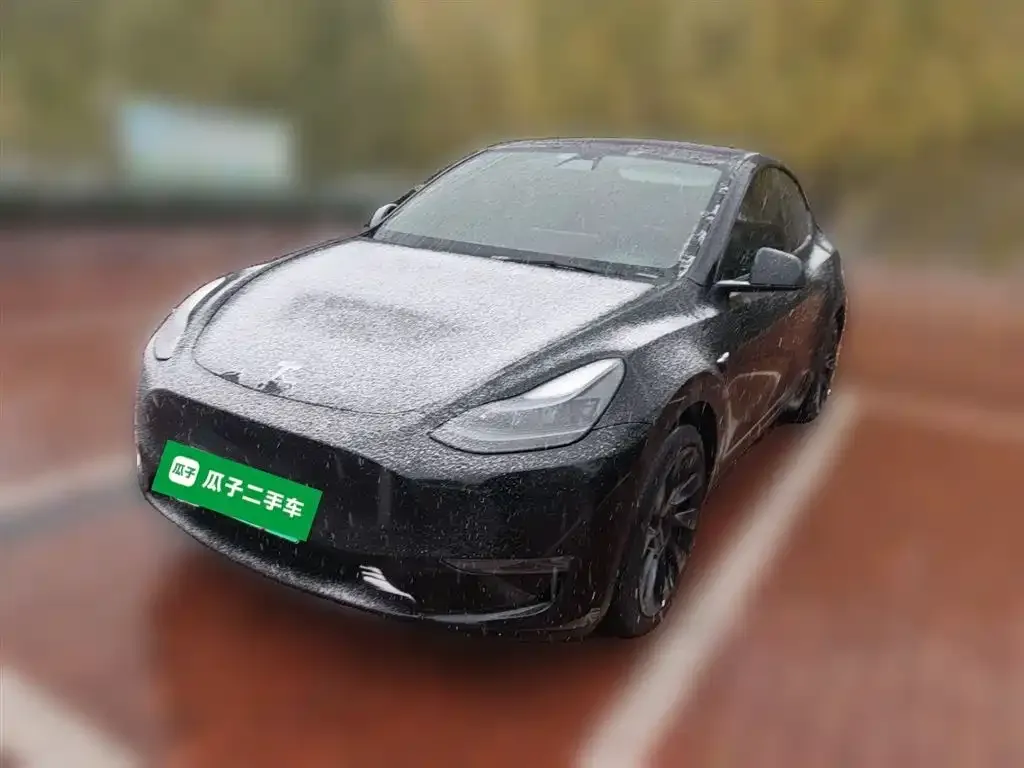 Tesla Model Y 2022 из CN, фото 1