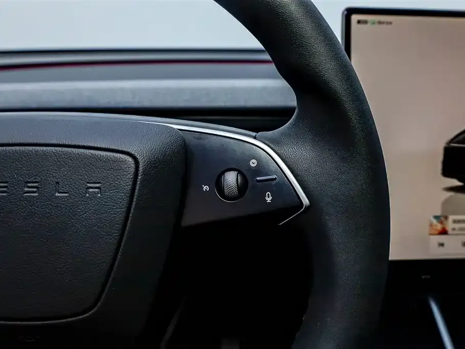 Tesla Model Y L 2025 из CN, фото 8