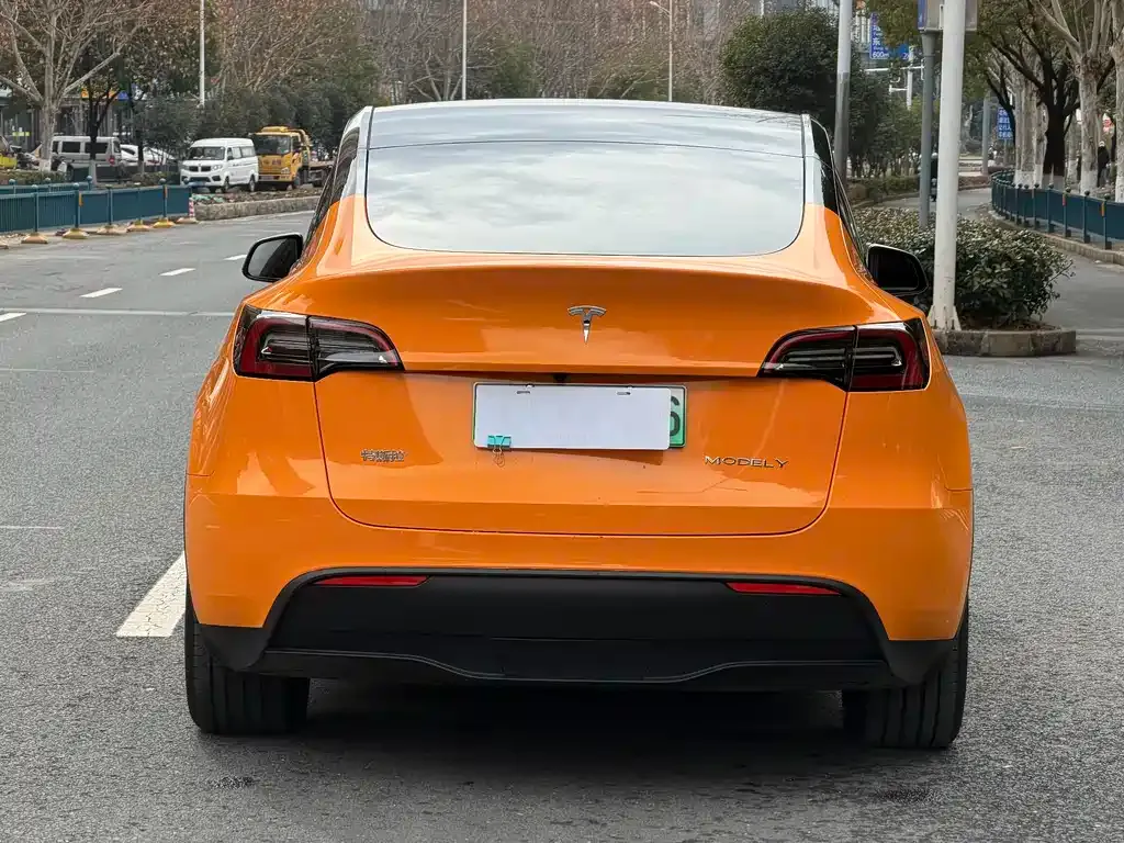 Tesla Model Y 2024 из CN, фото 5