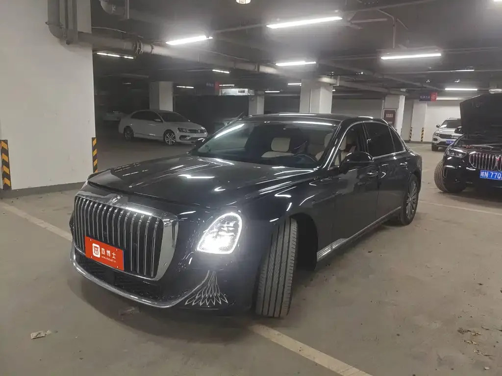 Hongqi Golden Sunflower Guoya 2024 из CN, фото 1