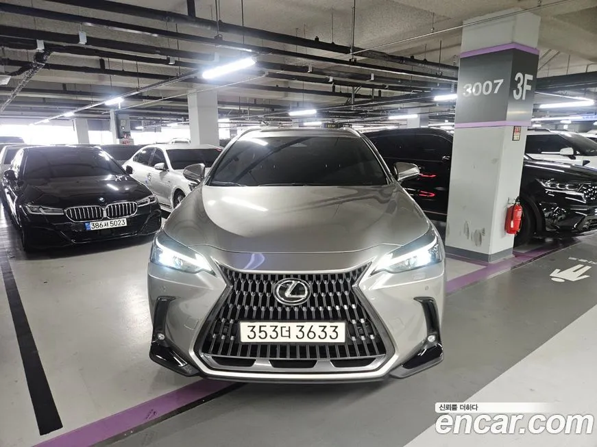 Lexus NX 2024 из KR, фото 1