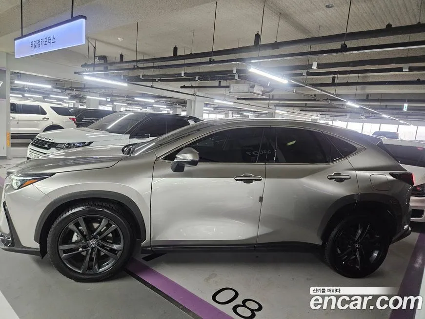 Lexus NX 2024 из KR, фото 4