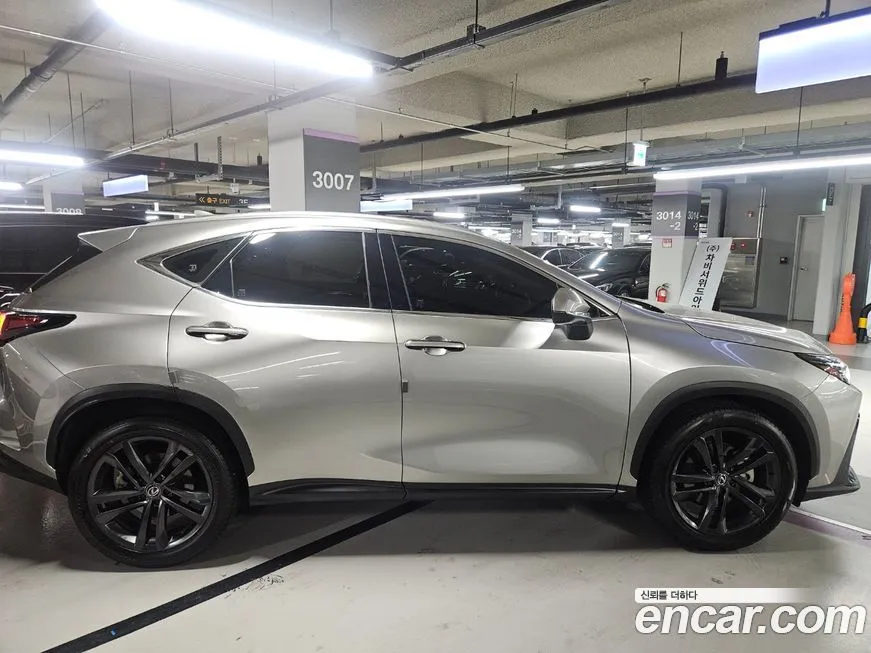 Lexus NX 2024 из KR, фото 5