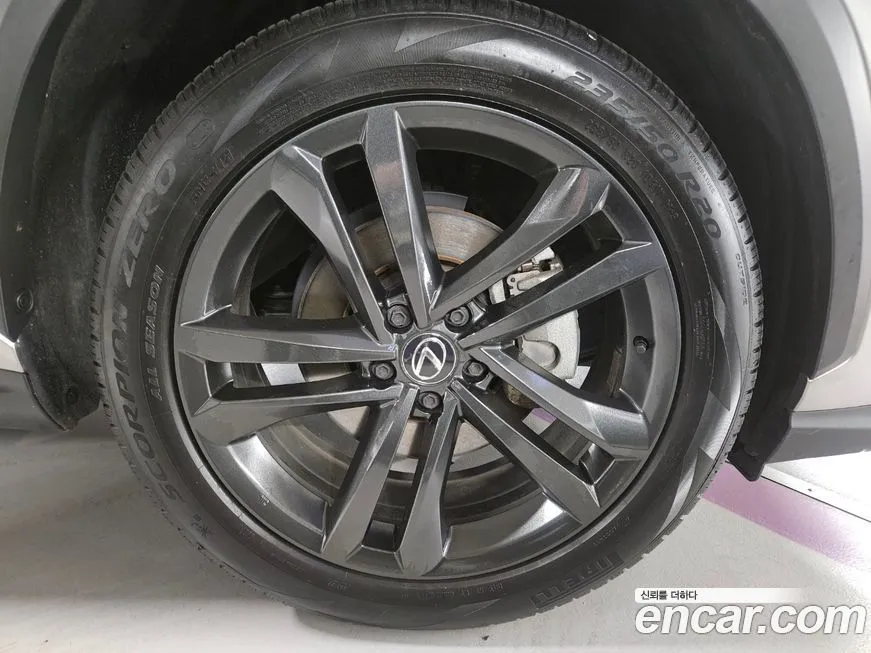 Lexus NX 2024 из KR, фото 2