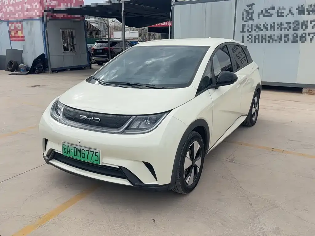 BYD Dolphin 2023 из CN, фото 1