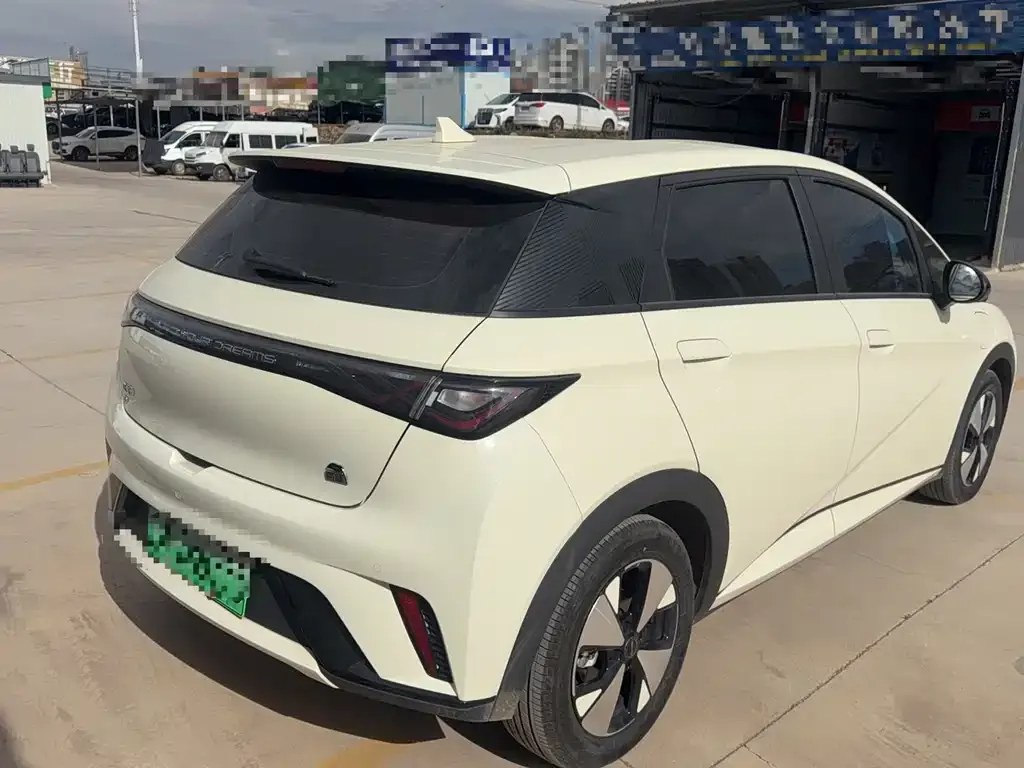 BYD Dolphin 2023 из CN, фото 3