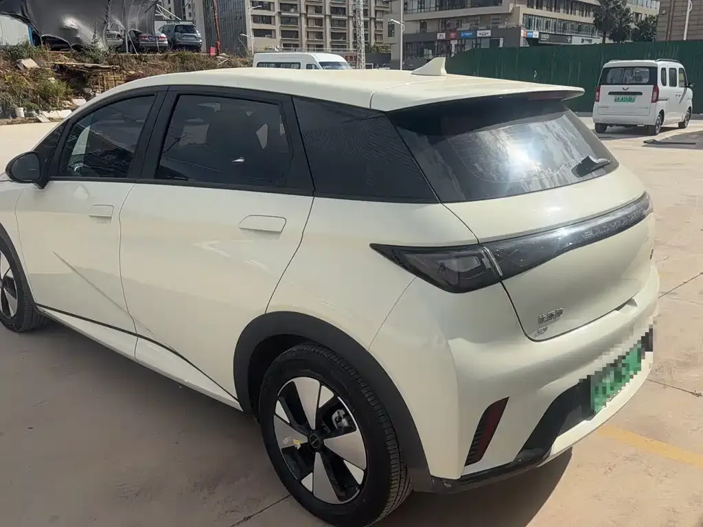 BYD Dolphin 2023 из CN, фото 6