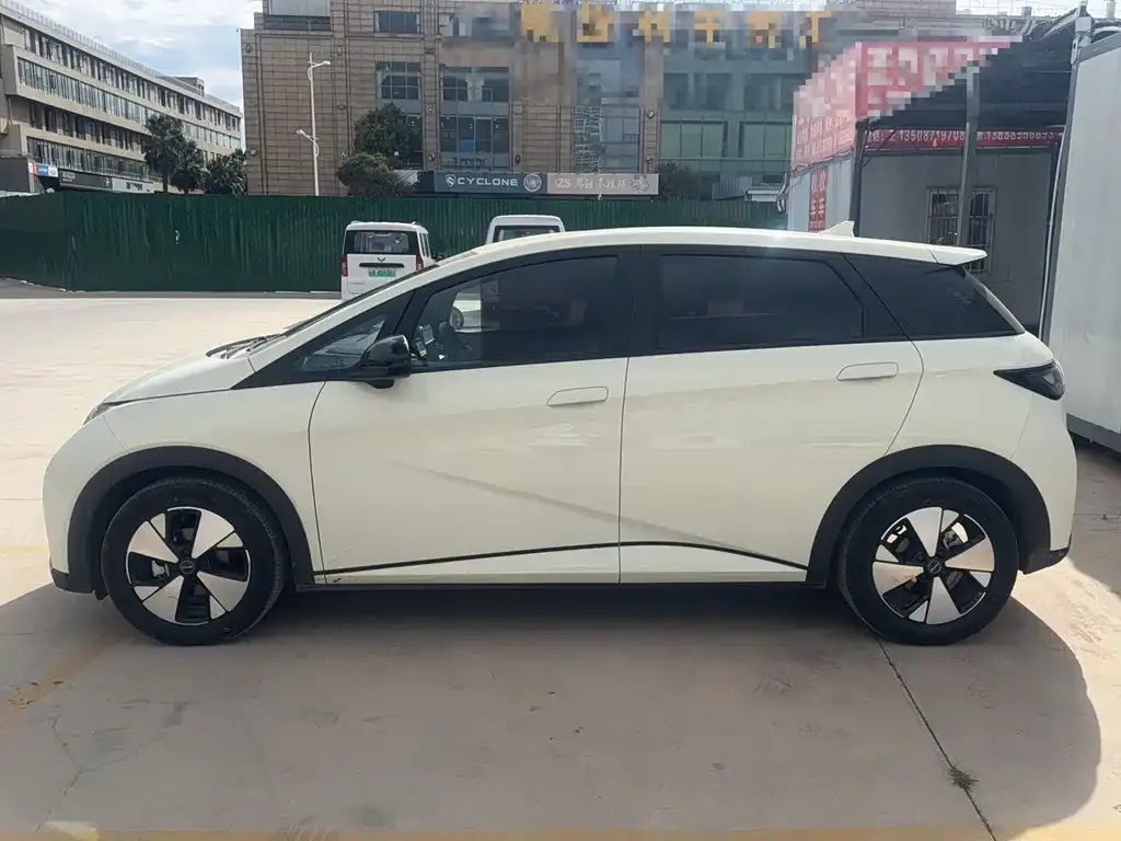 BYD Dolphin 2023 из CN, фото 4