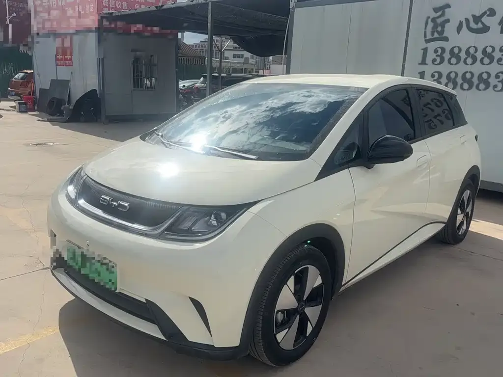 BYD Dolphin 2023 из CN, фото 5