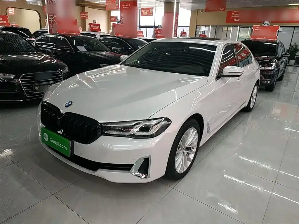 BMW 5 Series 2021 из CN, фото 1