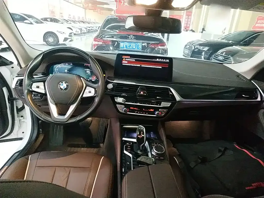 BMW 5 Series 2021 из CN, фото 4
