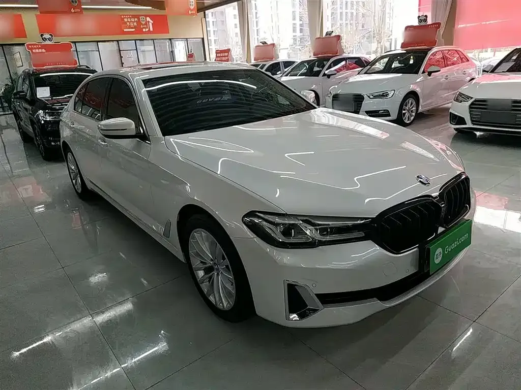 BMW 5 Series 2021 из CN, фото 5