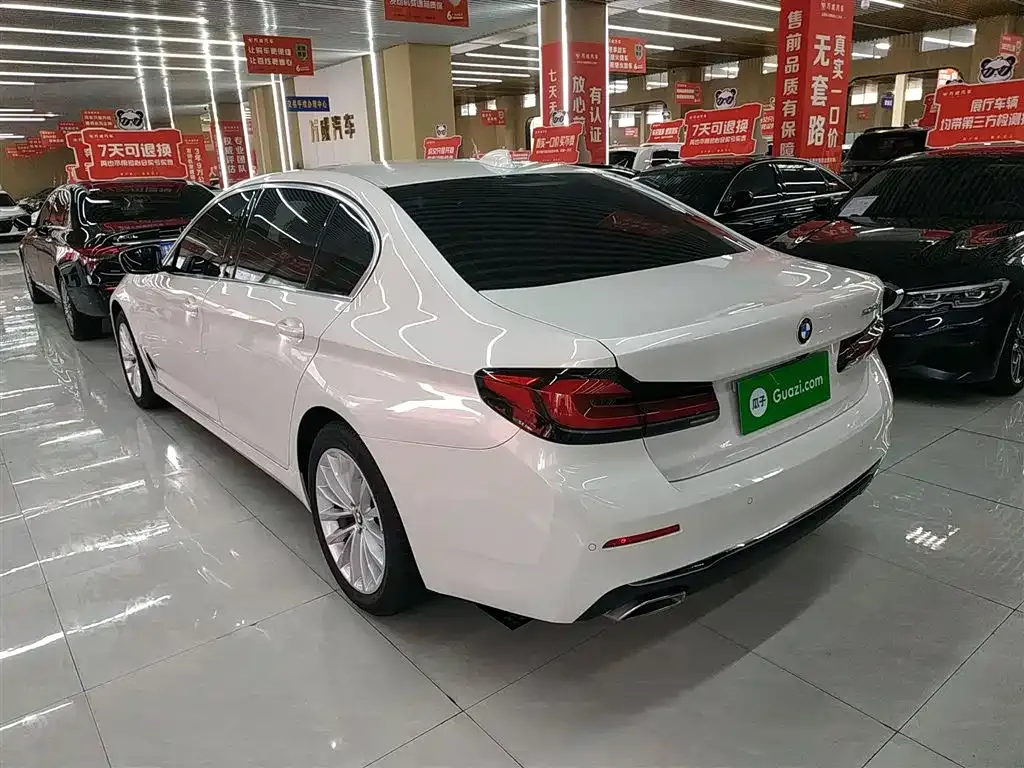 BMW 5 Series 2021 из CN, фото 7