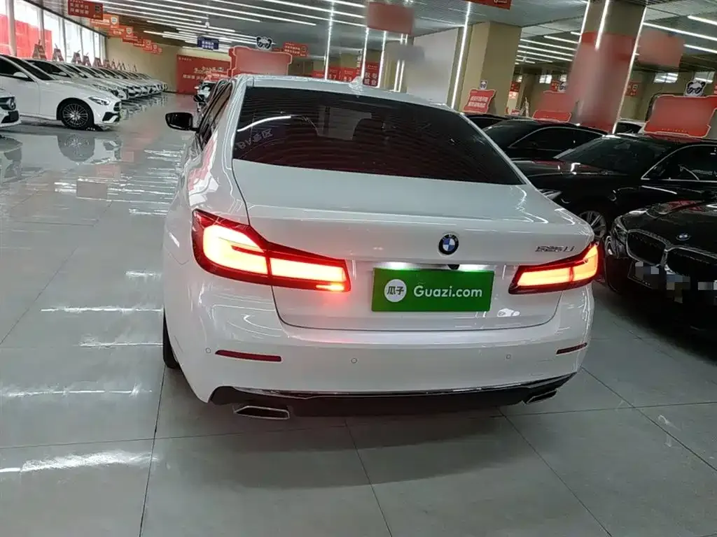 BMW 5 Series 2021 из CN, фото 9
