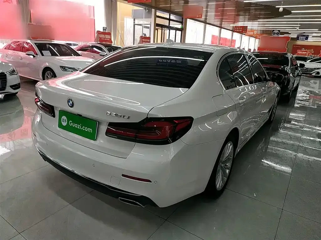 BMW 5 Series 2021 из CN, фото 8