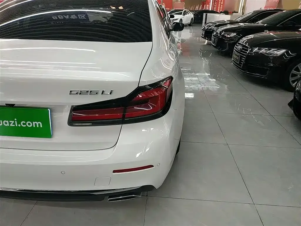 BMW 5 Series 2021 из CN, фото 6