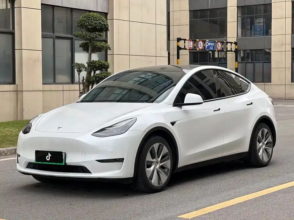 Tesla Model Y 2021 из CN, фото 1