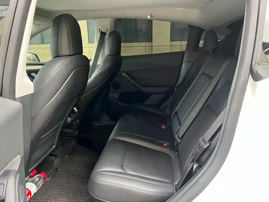 Tesla Model Y 2021 из CN, фото 3