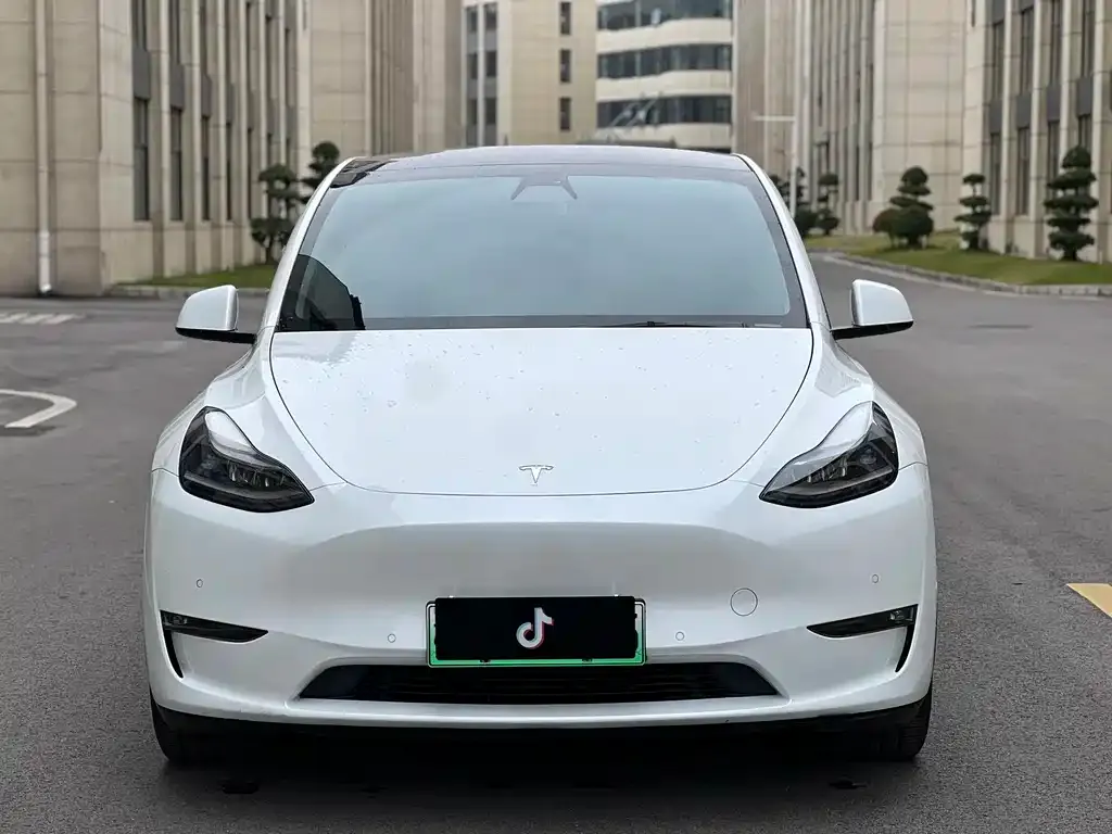 Tesla Model Y 2021 из CN, фото 8
