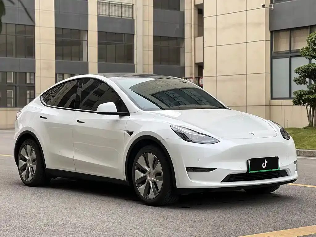 Tesla Model Y 2021 из CN, фото 7