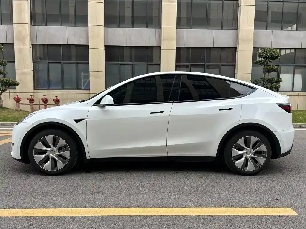 Tesla Model Y 2021 из CN, фото 9