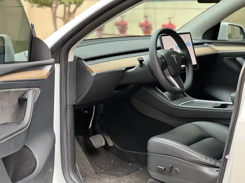 Tesla Model Y 2021 из CN, фото 2
