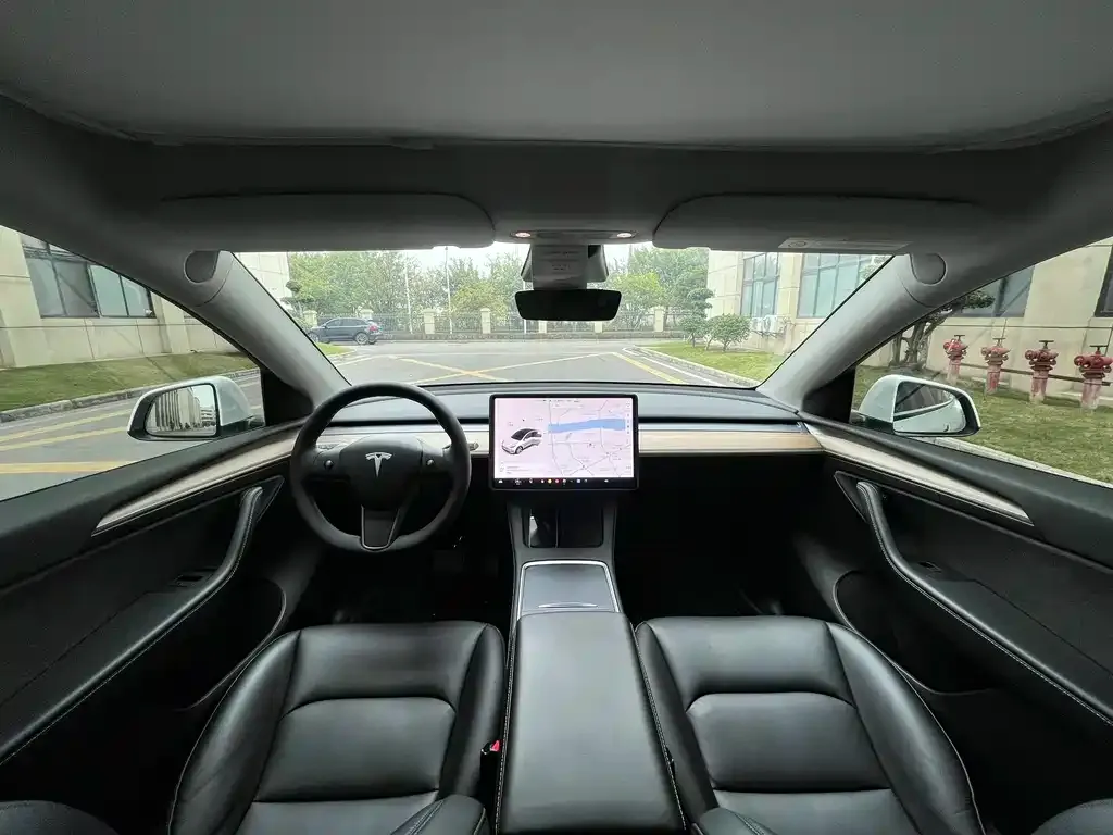 Tesla Model Y 2021 из CN, фото 4