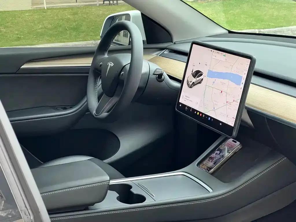 Tesla Model Y 2021 из CN, фото 6