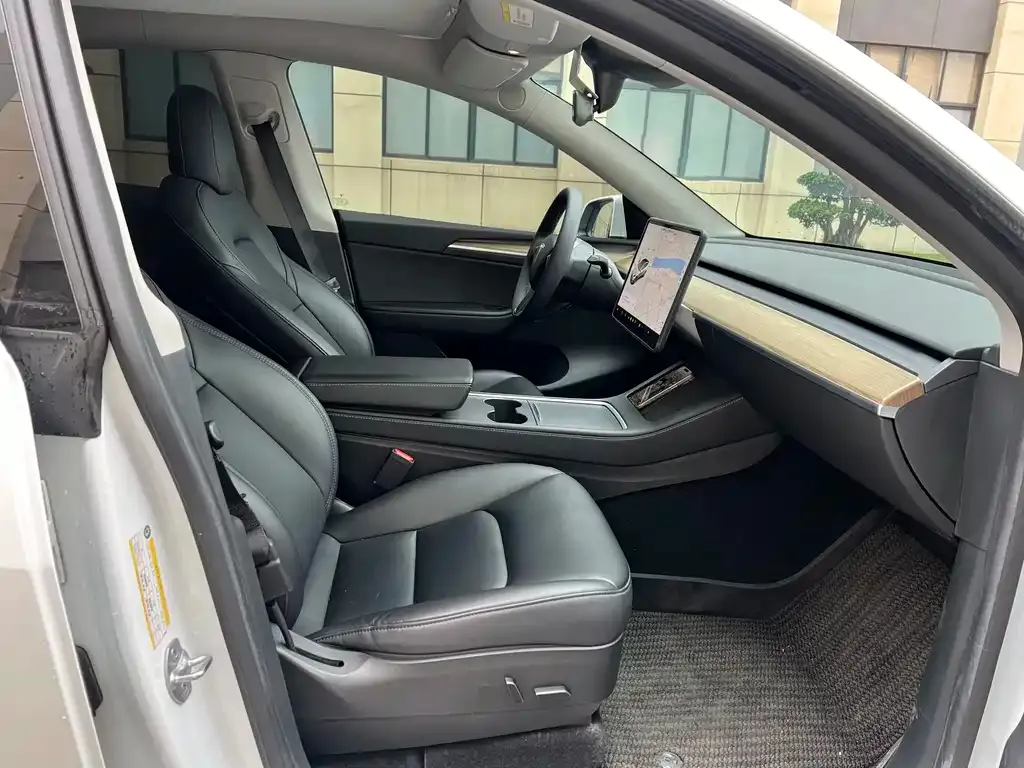 Tesla Model Y 2021 из CN, фото 10