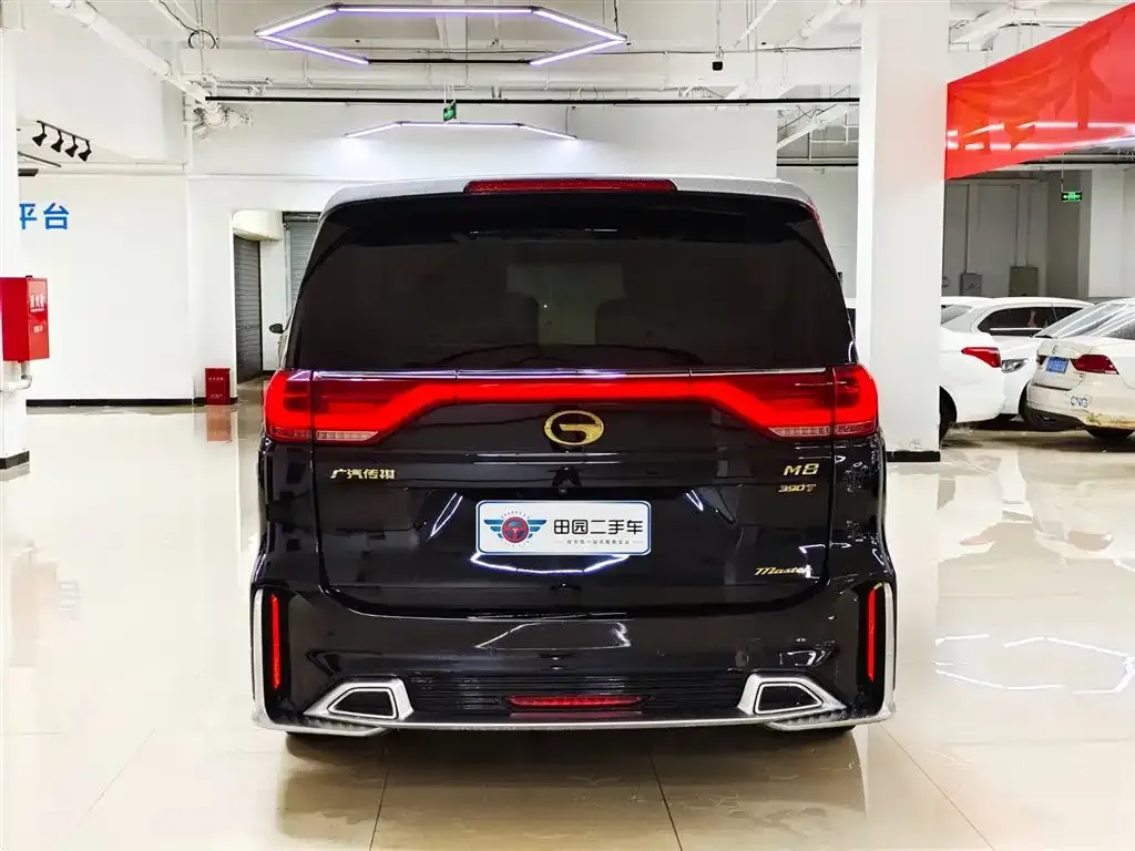 GAC Motor Trumpchi M8 2022 из CN, фото 5