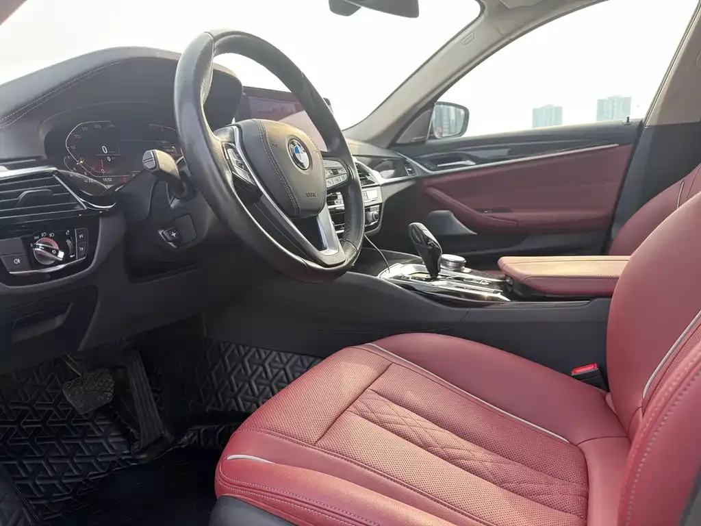 BMW 5 Series 2021 из CN, фото 7