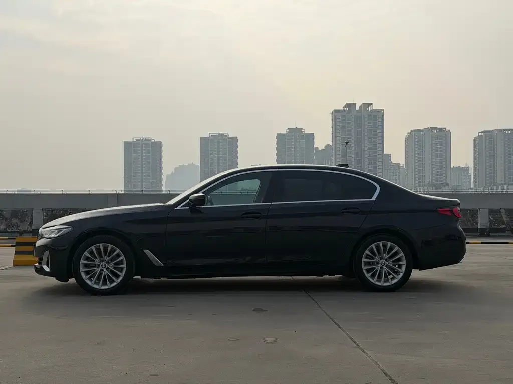 BMW 5 Series 2021 из CN, фото 2