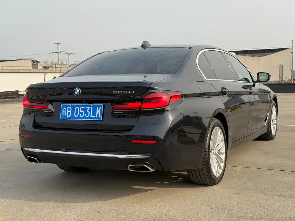 BMW 5 Series 2021 из CN, фото 8